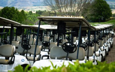 Golf Cart Repair in Wellington: What to Have Ready Before Your Appointment
