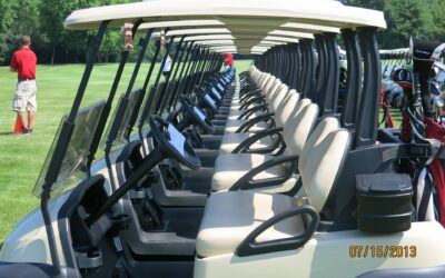 Common Reasons for Professional Golf Cart Service and Repair in Wellington