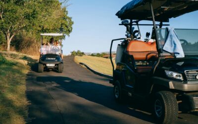 The Essential Guide to Golf Cart Service and Maintenance: Keeping Your Vehicle Running Smoothly in Wellington