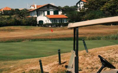 The Best Diagnostic Tools and Replacement Controllers for Fixing Golf Cart Performance Issues in Wellington, Florida
