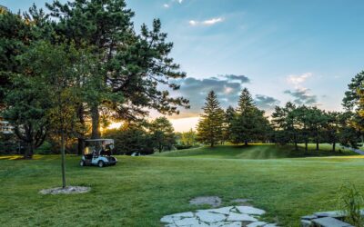 Quick Diagnostic Checklist for Golf Cart Leaf Spring Noise Before You Schedule Repairs in Wellington, Florida